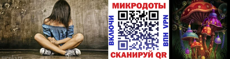 наркота  Игарка  Псилоцибиновые грибы мицелий 